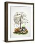 Witch’s Brew-null-Framed Giclee Print