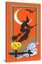 Witch Silhouette with Bat and Jack O'Lantern-null-Stretched Canvas