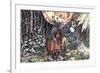 Witch, Weidlitz-Hans Weidlitz-Framed Premium Giclee Print