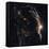 Witches Broom Nebula and Veil Nebula-Stocktrek Images-Framed Stretched Canvas