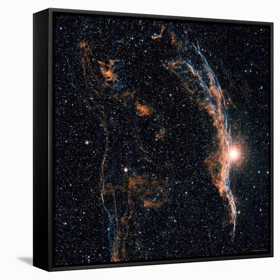 Witches Broom Nebula and Veil Nebula-Stocktrek Images-Framed Stretched Canvas