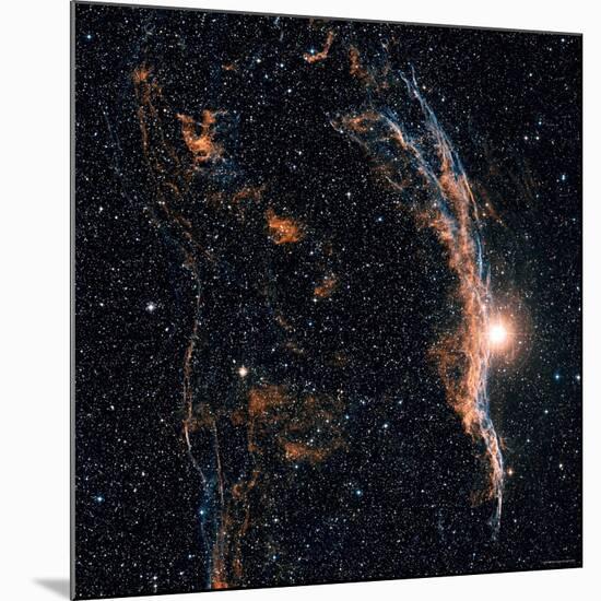 Witches Broom Nebula and Veil Nebula-Stocktrek Images-Mounted Photographic Print