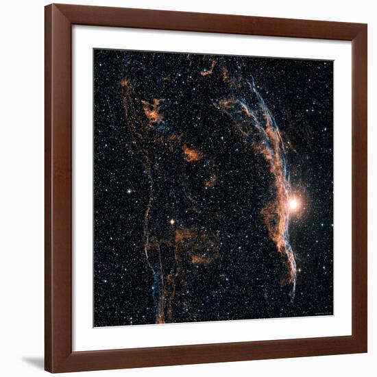 Witches Broom Nebula and Veil Nebula-Stocktrek Images-Framed Photographic Print