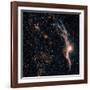 Witches Broom Nebula and Veil Nebula-Stocktrek Images-Framed Photographic Print