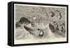 Witches Frolicking in the Waves-George Cruikshank-Framed Stretched Canvas