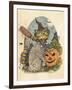 Witchy Poo-Linda Ravenscroft-Framed Giclee Print