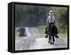 With a Buggy Approaching in the Distance, an Amish Boy Heads Down a Country Road on His Pony-Amy Sancetta-Framed Stretched Canvas