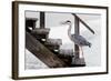 With a Firm Step-Michel Guyot-Framed Photographic Print