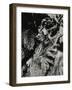 With Grace-Bernard Webb-Framed Giclee Print