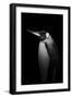 With tears-Alex Zhao-Framed Photographic Print