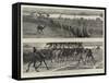 With the Camel Corps from Sarass to Dongola-Frederic Villiers-Framed Stretched Canvas