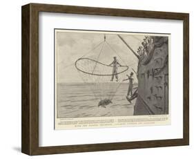 With the Pacific Squadron, Catching Turtles Off Acapulco-Joseph Nash-Framed Giclee Print