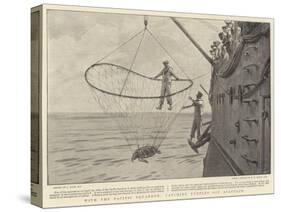 With the Pacific Squadron, Catching Turtles Off Acapulco-Joseph Nash-Stretched Canvas