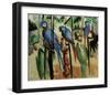 With the parrots-Auguste Macke-Framed Giclee Print