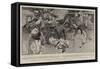 With the Tirah Field Force-Frank Craig-Framed Stretched Canvas