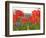 With the White House in the Background, Blooming Tulips in Lafayette Park Frame the White House-null-Framed Photographic Print