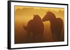 With You-Staffan Widstrand-Framed Giclee Print