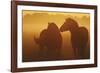 With You-Staffan Widstrand-Framed Giclee Print