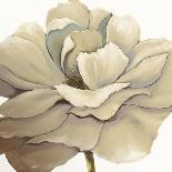 Cream Silken Bloom Withaar-Withaar-Laminated Art Print