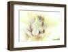 Withered 3-Jacob Berghoef-Framed Photographic Print