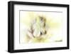 Withered 3-Jacob Berghoef-Framed Photographic Print