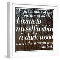 Within a Dark Wood-Keren Su-Framed Photographic Print