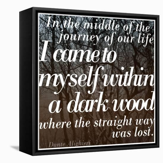 Within a Dark Wood-Keren Su-Framed Stretched Canvas