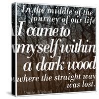 Within a Dark Wood-Keren Su-Stretched Canvas