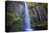 Within Dry Creek Falls, Columbia River Gorge, Oregon-Vincent James-Stretched Canvas