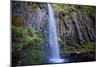 Within Dry Creek Falls, Columbia River Gorge, Oregon-Vincent James-Mounted Photographic Print