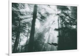 Within Light and Trees Redwood Forest, California Coast-Vincent James-Framed Photographic Print