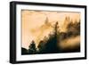 Within The Fog Mount Tamalpais, Marin County, San Francisco-Vincent James-Framed Photographic Print