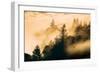 Within The Fog Mount Tamalpais, Marin County, San Francisco-Vincent James-Framed Photographic Print