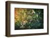 Within the Hedge-Claire Westwood-Framed Art Print