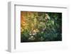 Within the Hedge-Claire Westwood-Framed Art Print