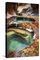 Within The Subway, Planet Earth Zion National Park, Utah-Vincent James-Stretched Canvas