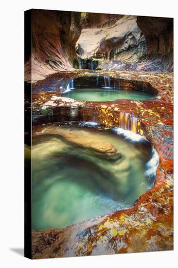 Within The Subway, Planet Earth Zion National Park, Utah-Vincent James-Stretched Canvas