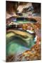 Within The Subway, Planet Earth Zion National Park, Utah-Vincent James-Mounted Photographic Print
