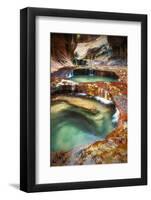 Within The Subway, Planet Earth Zion National Park, Utah-Vincent James-Framed Photographic Print