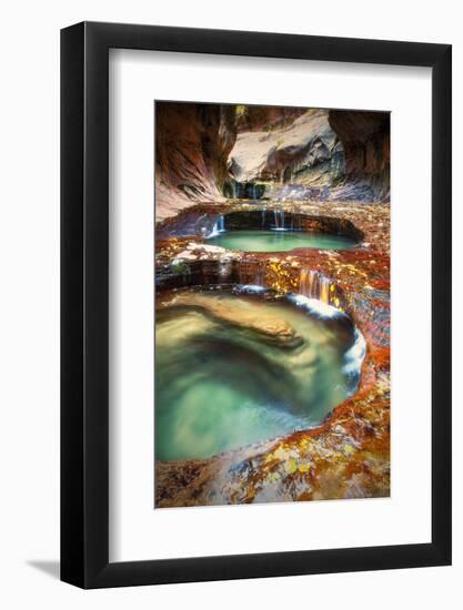 Within The Subway, Planet Earth Zion National Park, Utah-Vincent James-Framed Photographic Print