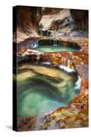Within The Subway, Planet Earth Zion National Park, Utah-Vincent James-Stretched Canvas