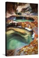 Within The Subway, Planet Earth Zion National Park, Utah-Vincent James-Stretched Canvas