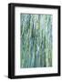 Within the Waterfall-Margaret Juul-Framed Art Print