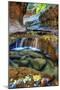 Within Zion Subway in Autumn, Zion National Park, Utah-Vincent James-Mounted Photographic Print