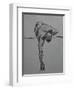Without Ever Reaching Satisfaction-Nobu Haihara-Framed Giclee Print