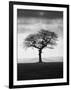 Without Leaves-Martin Henson-Framed Photographic Print