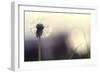 Without You-Incredi-Framed Photographic Print