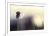 Without You-Incredi-Framed Photographic Print