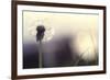 Without You-Incredi-Framed Photographic Print