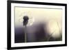 Without You-Incredi-Framed Photographic Print